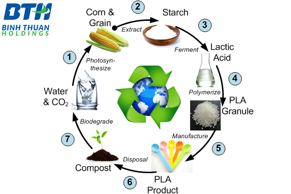 Quy trình sản xuất sản phẩm nhựa sinh học tự hủy